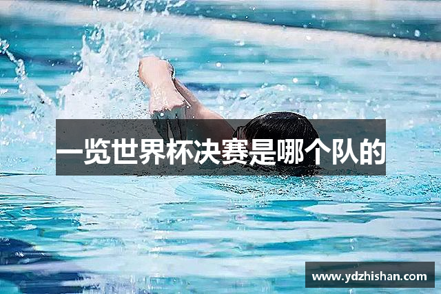 一览世界杯决赛是哪个队的